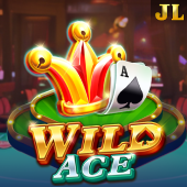 Wild Ace at Fun Bingo Games